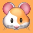 看黄直播