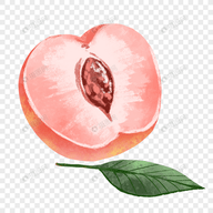 WWW,186se·COM网站APPAPP应用