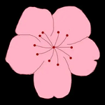 9.1安装免费安装APP